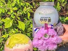 -吴山山·椰子酸奶(天河南店)