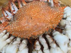 -席娜卡琳火车铁道夜市