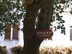 android_upload_pic-涠洲岛-圣母堂