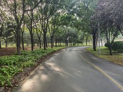 -永定河休闲森林公园