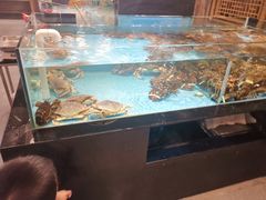 水产区-宴西湖(滨湖公园店)