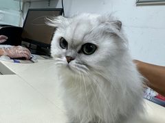 -宠颐生中康贝怡动物医院