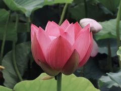 -长春市南湖公园