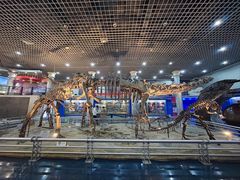 -国家自然博物馆