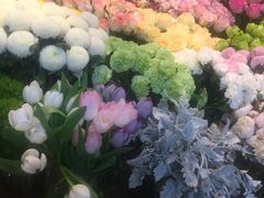 -Wagas沃歌斯(正大乐城店)
