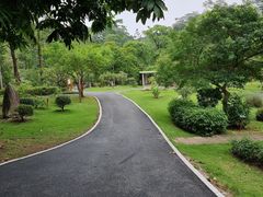 -广西壮族自治区药用植物园