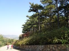 -北京西山国家森林公园