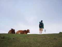-大姆山草场
