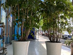 -仁华宠物医院(青羊店)