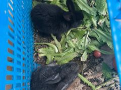 -不觉晓CAMPING(上海迪士尼营地店)