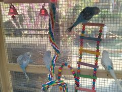 -蟠龙天地-P2停车场