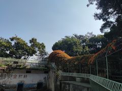 -吴天家私坊铜火锅(远达·帝景华廷店)