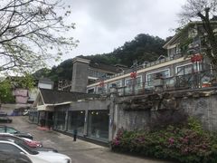 -老幺泉水鸡