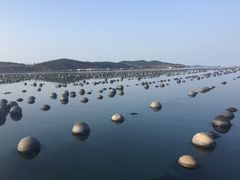 -兴旺渔家