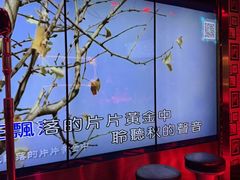 -温莎KTV(珠江路店)