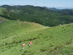 -大姆山草场