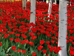 -长春公园(普阳街道)