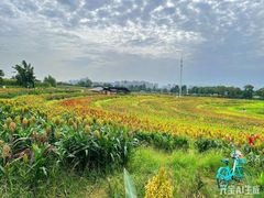 -三圣花乡旅游区