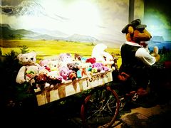 -济州岛泰迪熊博物馆