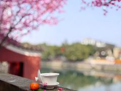 -望江楼公园