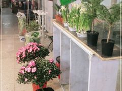 -宝鸡东道花鸟鱼虫市场(吉利花园商场店)