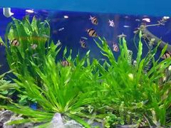 -沙沙哗啦海洋馆(华宇百花谷店)