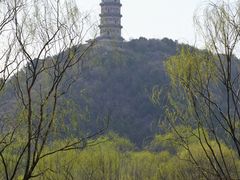 -北坞公园