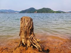 -老虎潭水库