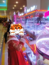 -卡通尼·Safari非洲探索乐园·生日会(金桥国际商业广场店)