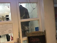 门面-共舞时光猫咖·狗咖(新街口店)