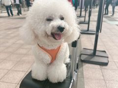 -星巴克(舟山蜈蚣峙店)