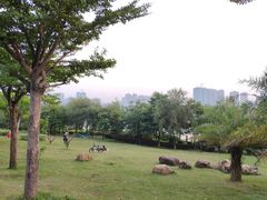 -飞来湖湿地公园