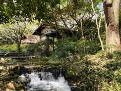-中国茶叶博物馆(双峰馆区)