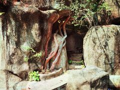 -深圳国际园林花卉博览园