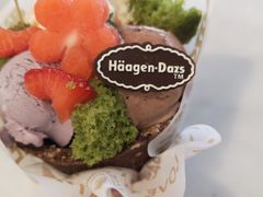 -哈根达斯(赛特奥莱店)