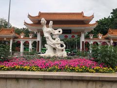 -深圳仙湖植物园