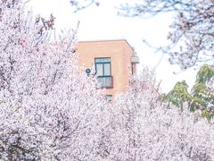 -西南民族大学南区(双流校区)