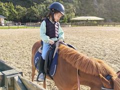 -枫露马术学院(藏书校区)