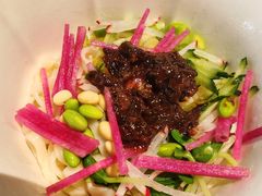 -秀儿四九城·新京菜(亚运村鸟巢店)