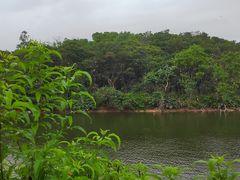-广州莲花山旅游区