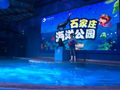 -石家庄海洋公园