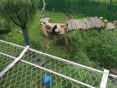 -上海野生动物园