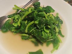 -老吉堂上海本帮菜(望京万象汇店)