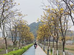 -长洲岛