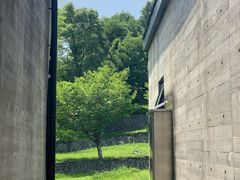 -美丽洲堂