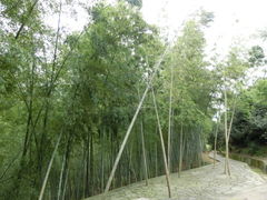 -天下玉苑