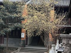 -灵谷景区