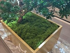 -通透堂中医·精准推拿(旗舰店)