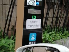 -重庆彩云湖湿地公园