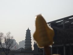 -滕州汉画像石馆
